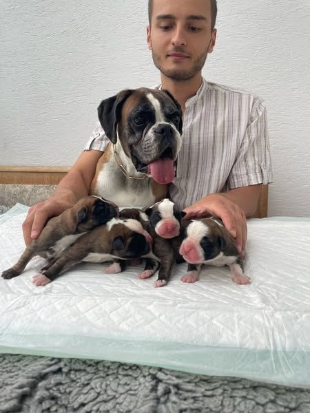 Les bébés sont nés !!!!!